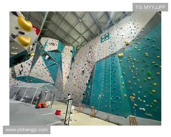 上海攀岩队在世界滑板锦标赛中以56分稳居积分榜首位