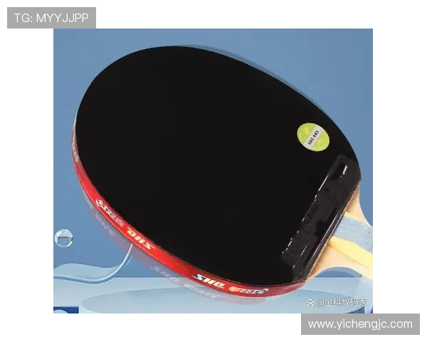 乒乓球装备选购指南：如何选择适合自己的球拍和配件