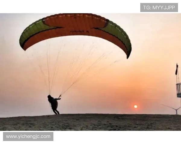 北京极限运动队心理素质深度对比分析与影响因素探讨