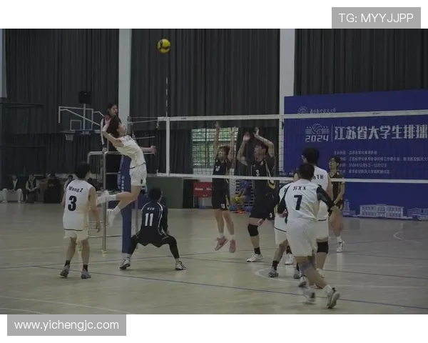 成都排球队团队协作的创新变革与热议探讨