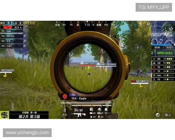 聚焦和平精英探讨FPX战队灵活性与战术创新的深度分析