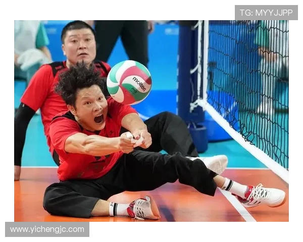 杭州排球队的辉煌历程与现状揭秘：排球巨献背后的故事与挑战